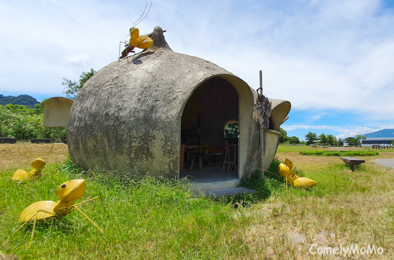 花蓮景點 大農大富平地森林園區 春天賞花賞鳥 夏天賞螢 秋冬賞楓 佔地1 250公頃 臺灣首座平地森林公園 可麗莫購物網