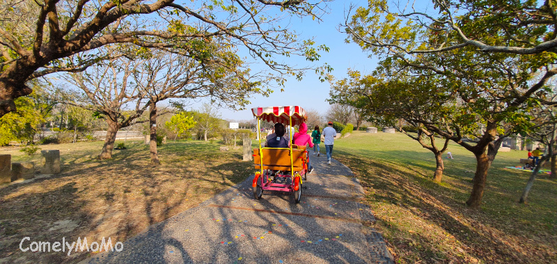 台中都會公園/台中景點*假日親子野餐、遛小孩放風箏、騎腳踏車、看夜景的好地方