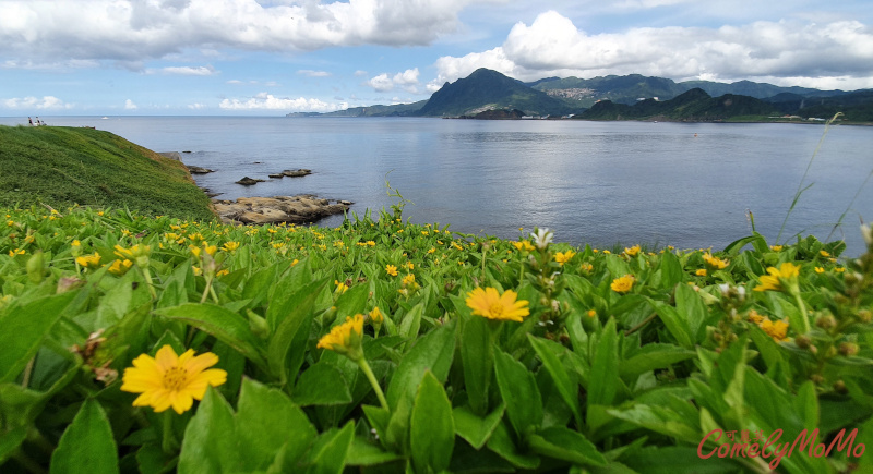 You are currently viewing 基隆景點/八斗子漁港*潮境公園*海科館*深澳鐵道自行車*忘幽谷*可眺望海景吃海產一日遊